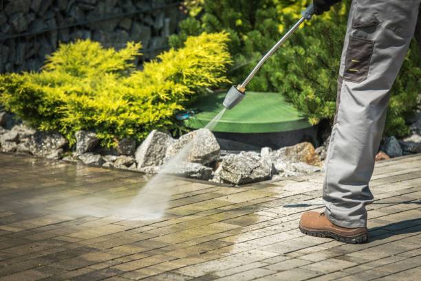 Best Sidewalk and Walkway Cleaning  in West Clarkston Highland, WA
